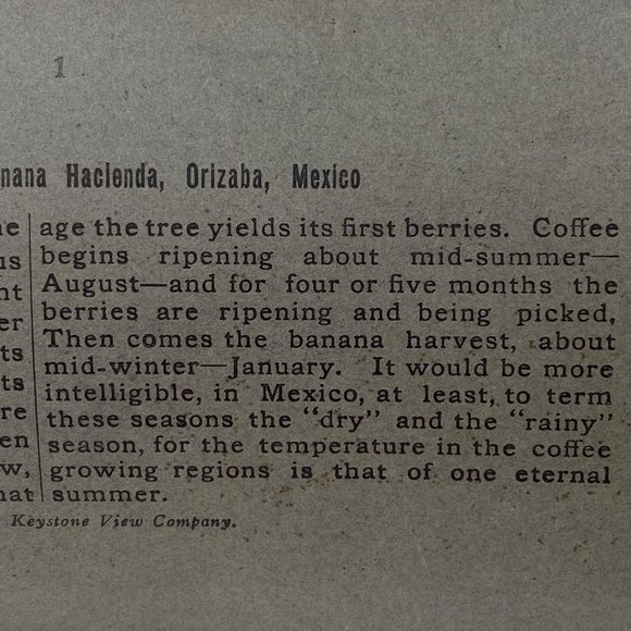 Antique 1900 Stereoview Photo Card Coffee Banana Hacienda Orizaba Mexico Keyston - Picture 6 of 8